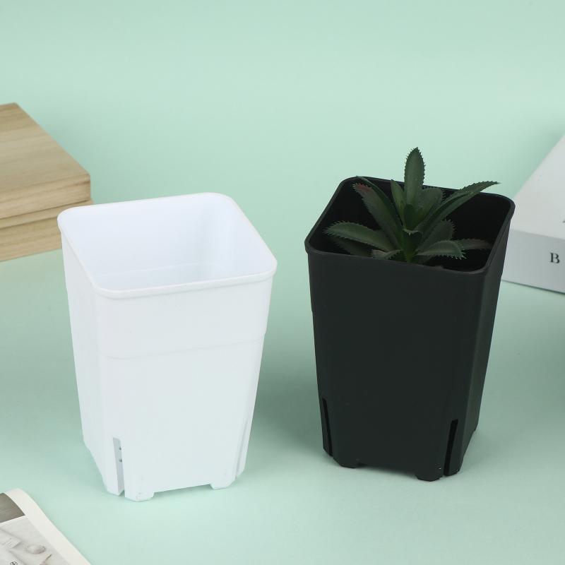 Seedling Pots Square Plastic P - Food Storage Plants 리뷰 및 가격
